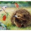Ladelle Scatter Tray - Aus Echidna & Finch