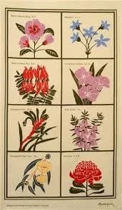 Rodriquez Tea Towel - Australian Floral Emblem