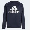 Adidas Kids Designed To Move Big Logo Sweatshirt