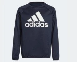Adidas Kids Designed To Move Big Logo Sweatshirt