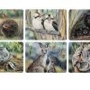 Ashdene Fauna Of Aus 6pk Placemat