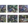 Ashdene Australian Wren Placemat - Set Of 6 -Akubra Store Screenshot 202023 02 08 20133002